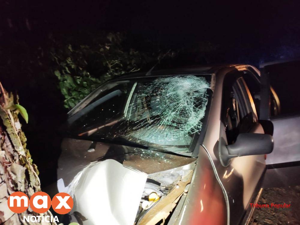 PRF apreende 63 Kg de maconha após condutor fugir e colidir contra uma arvore