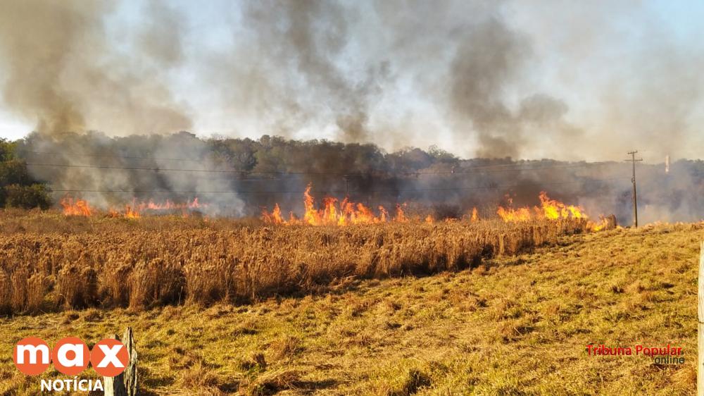 Bombeiros são acionados após incêndio a um milharal na Av. Maria Bubiak