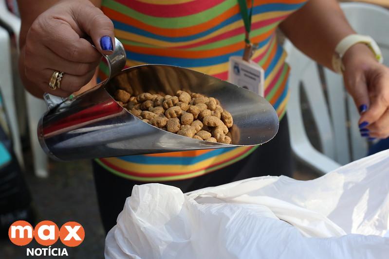 Causa animal: Prefeitura de Foz começa a entregar rações para cães e gatos aos protetores cadastrados
