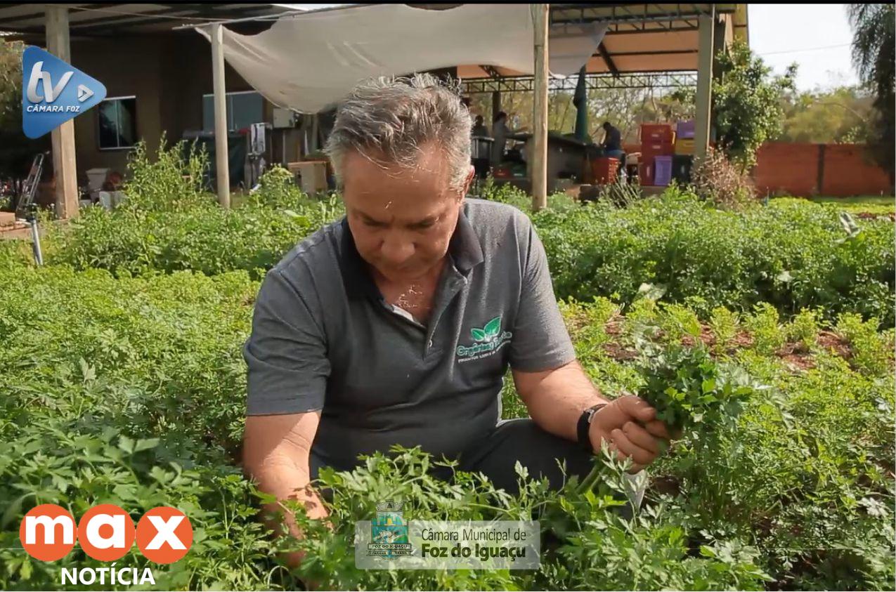Produtor fala sobre agroecologia e produção de orgânicos em Foz
