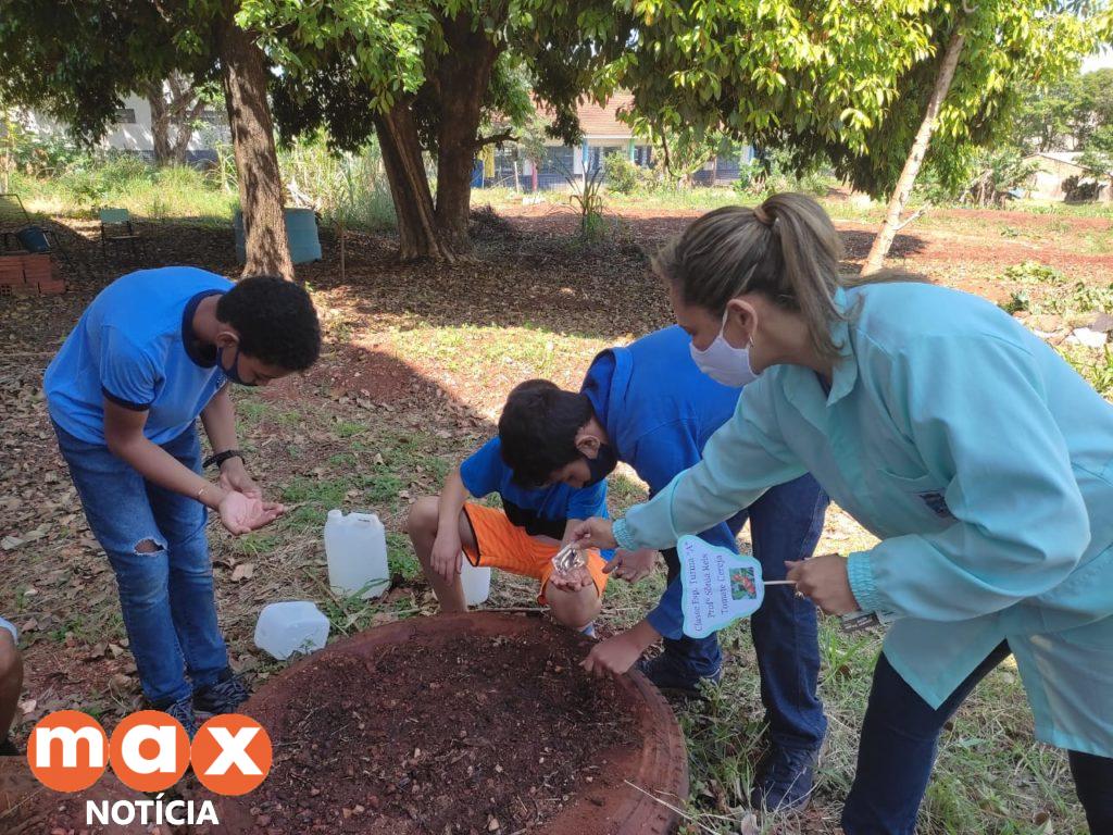 Secretaria de Agricultura inicia a plantação de hortas comunitárias em escolas e prédios do município
