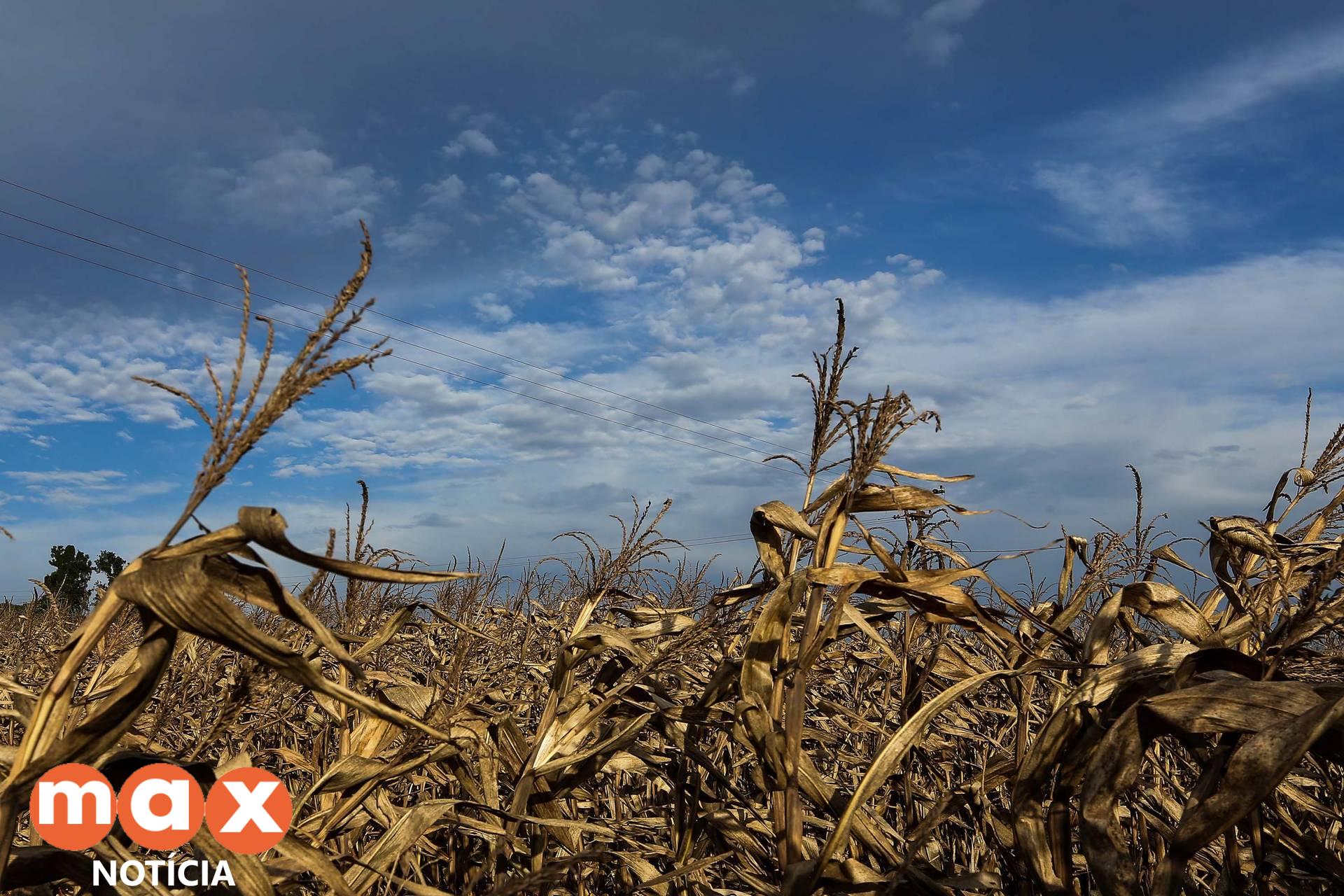 IDR-Paraná alerta sobre impactos de La Niña no desempenho da safra 2021-2022