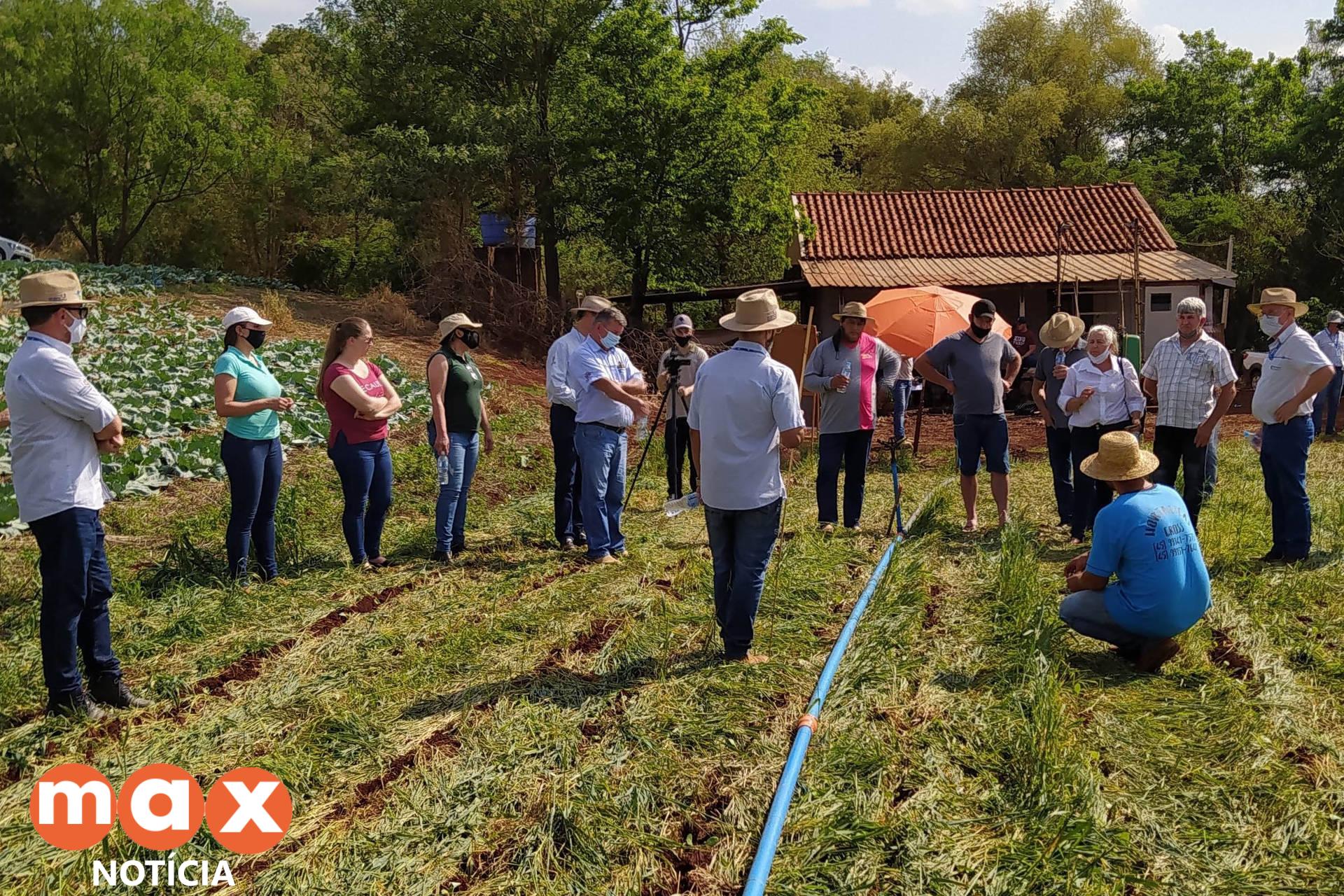 IDR-PR atua para difundir sistema sustentável de produção de hortaliças no Oeste