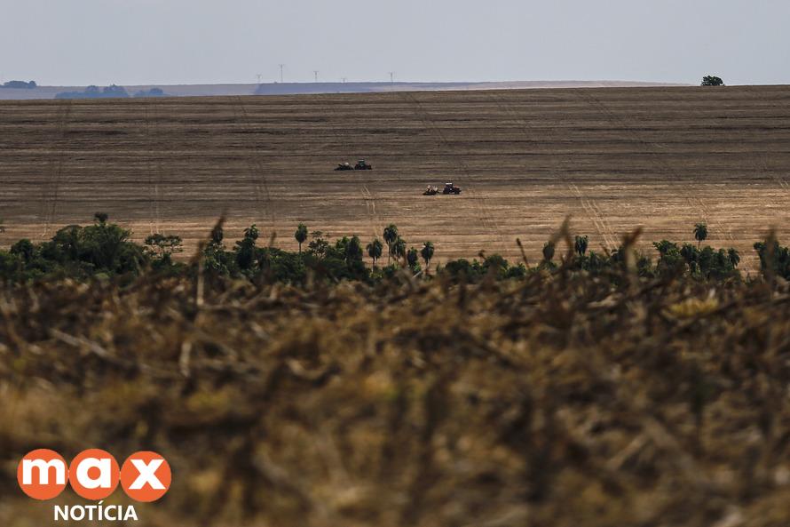 Chuvas retornam ao Estado e oferecem melhores condições de plantio, segundo boletim