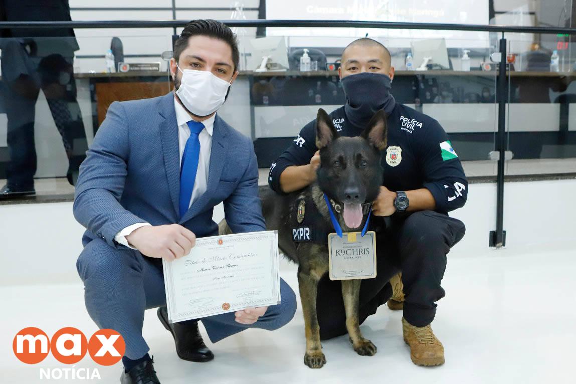 Cão da PCPR e seu condutor são homenageados por bom desempenho