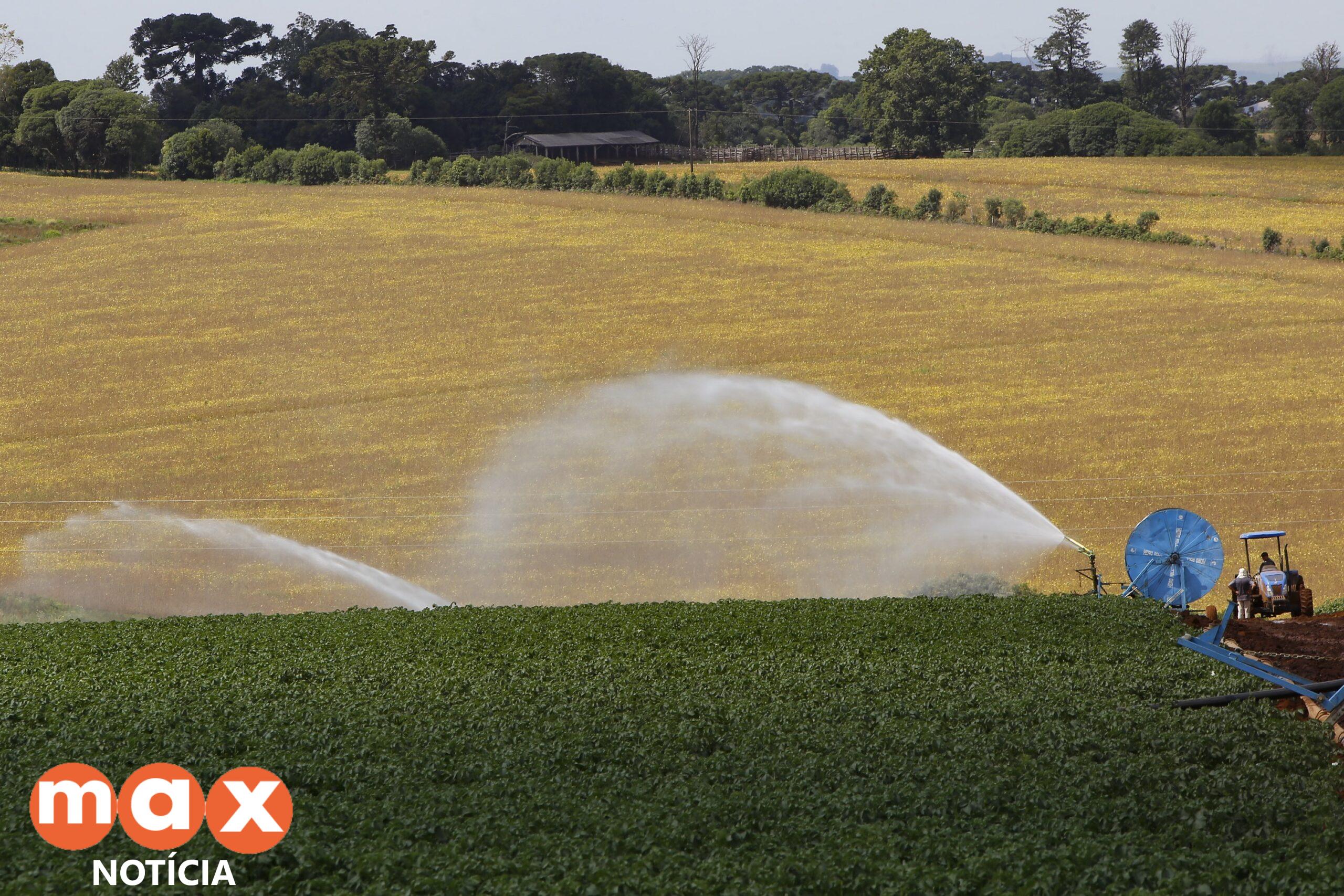 Em seis meses, Banco do Agricultor Paranaense ajudou 1.235 projetos do campo