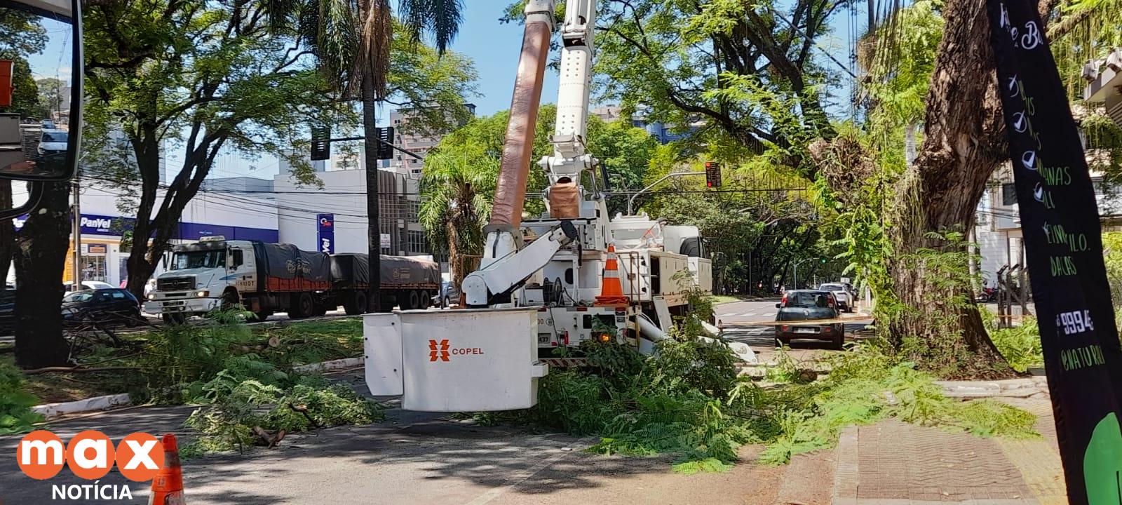 Prefeitura e Copel retiram árvore de mais de 40 metros de altura no centro da cidade
