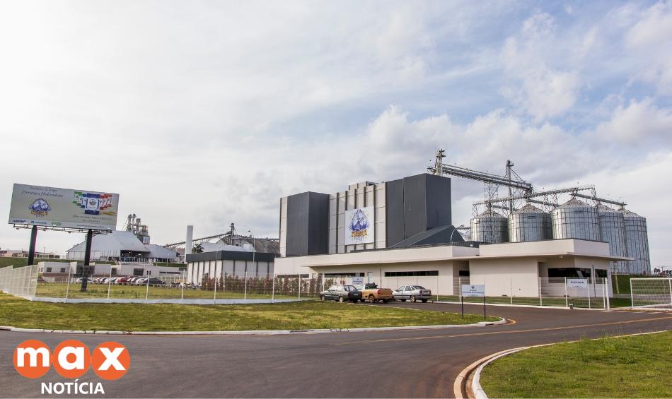 Moinho de trigo paranaense recebe certificação internacional de segurança de alimentos