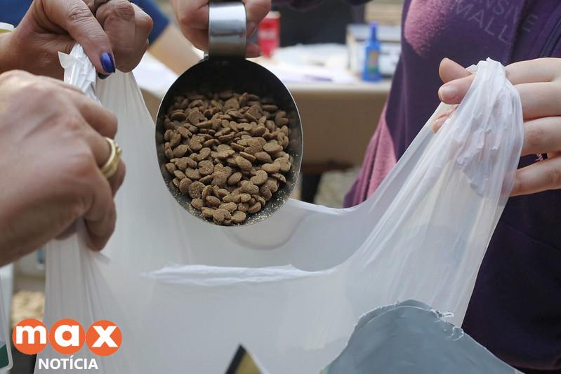 Diretoria de Bem-Estar Animal de Foz realiza distribuição emergencial de ração para cães e gatos