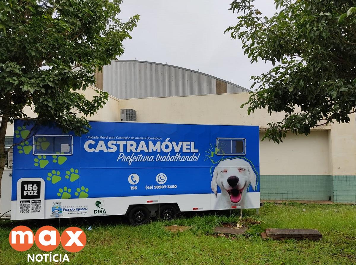 Prefeitura inicia segunda etapa do Programa de Castração de cães e gatos