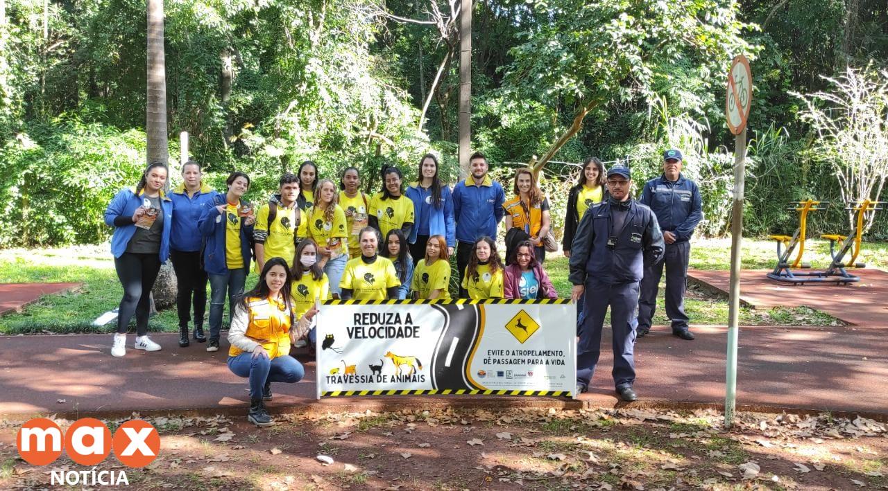 Diretoria de Bem-Estar Animal orienta motoristas sobre transporte correto de pets