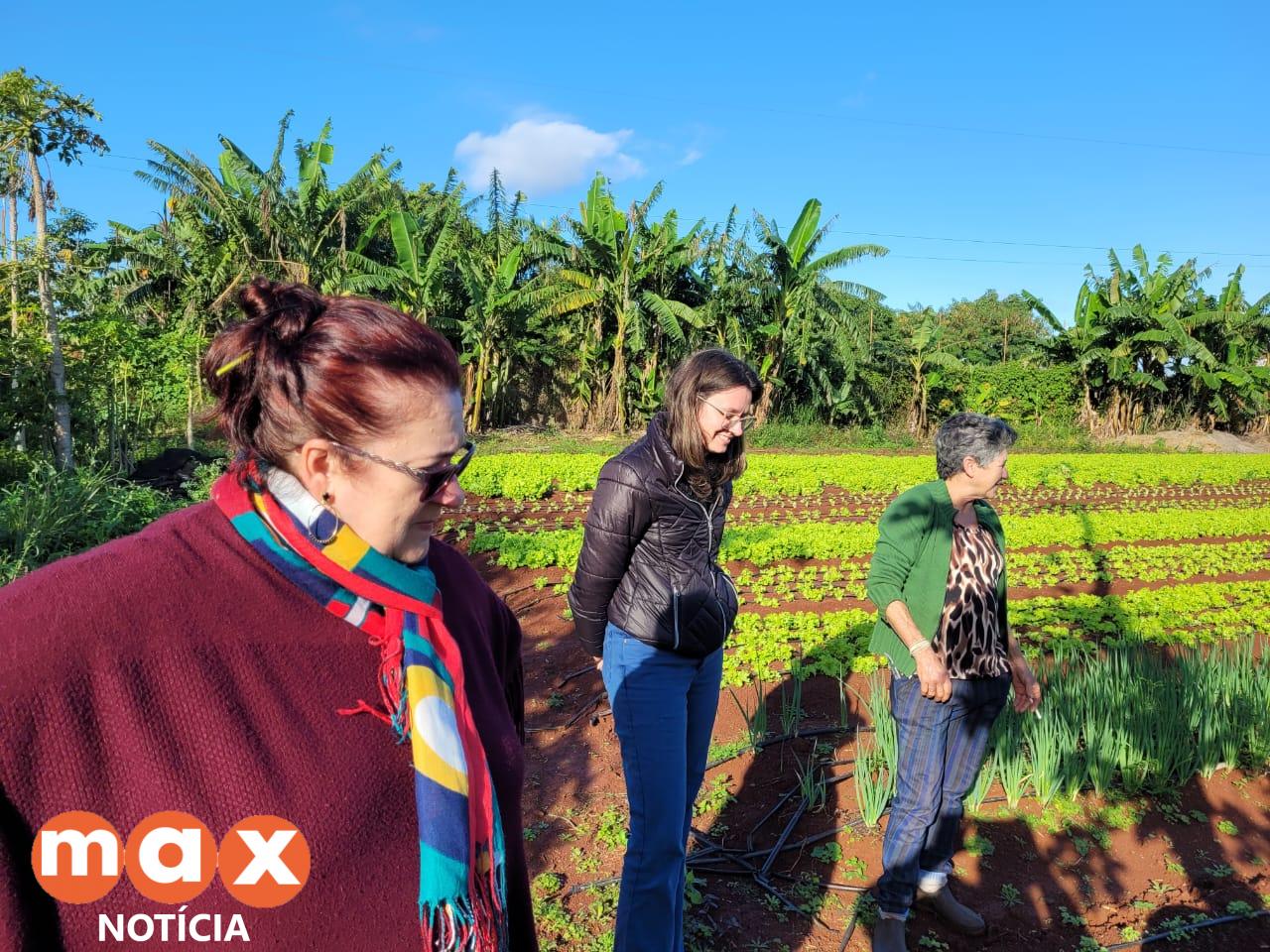 Secretaria Municipal da Educação visita produtores da agricultura familiar