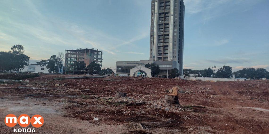 IAT liberou corte de araucárias do terreno da antiga Santa Casa