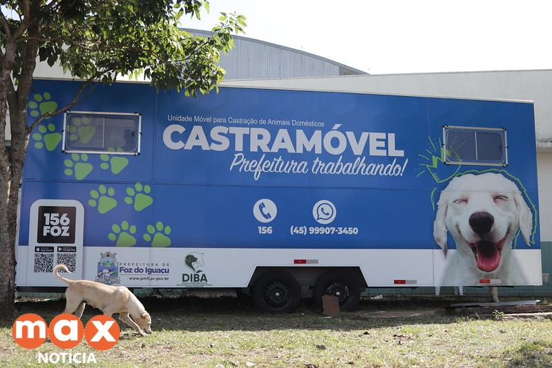 Castramóvel realizou 30 castrações de gatos machos no Morumbi