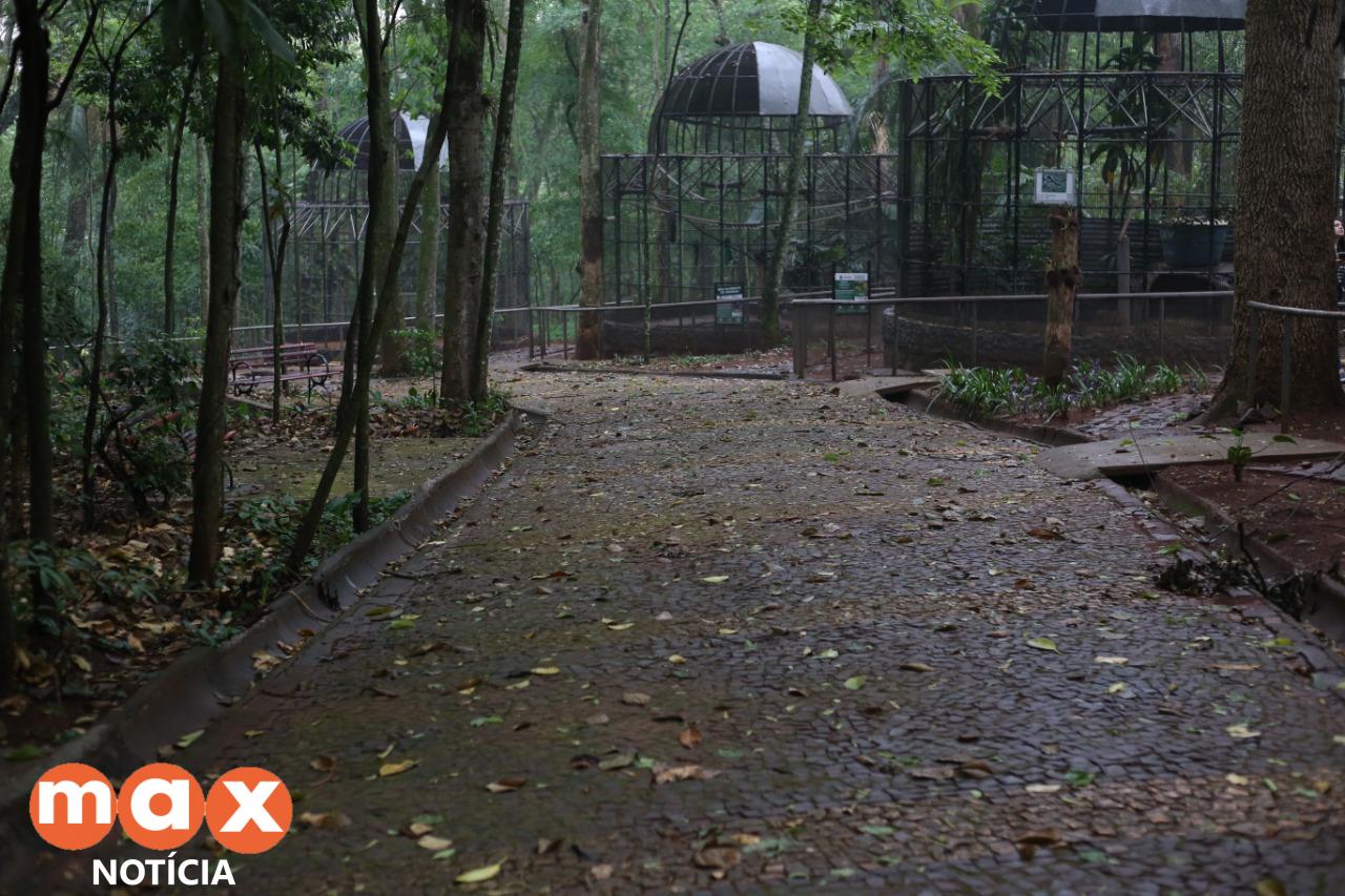 Primeira etapa das obras de revitalização do Bosque Guarani começa nos próximos dias