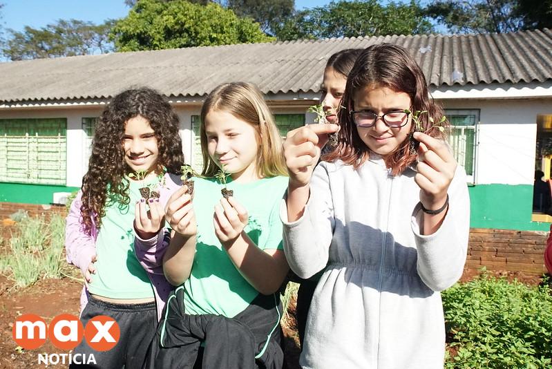 Horta escolar estimula a alimentação saudável e o aprendizado dos alunos