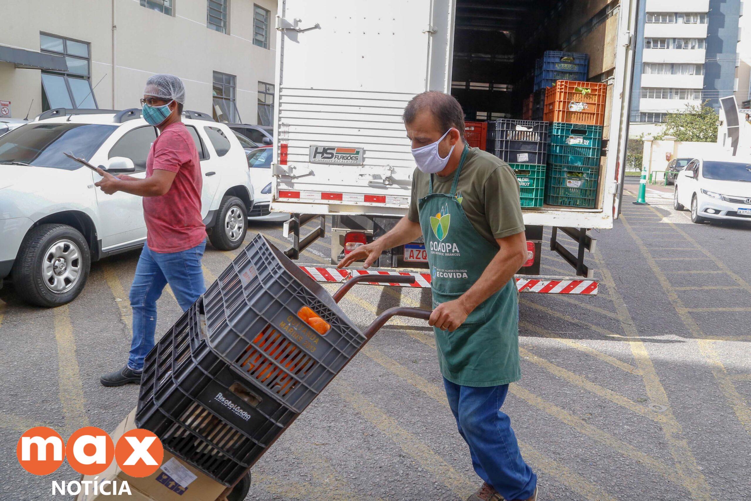 Paraná fortalece segurança alimentar com apoio a produtores e atenção a vulneráveis