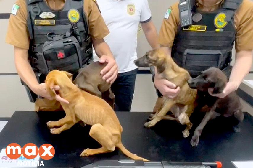 Policiais prendem mulher e apreendem adolescente por maus-tratos a animais em Matinhos