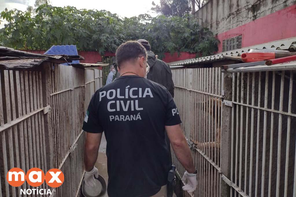 PCPR deflagra operação para resgatar 300 cães em situação de maus-tratos em Curitiba
