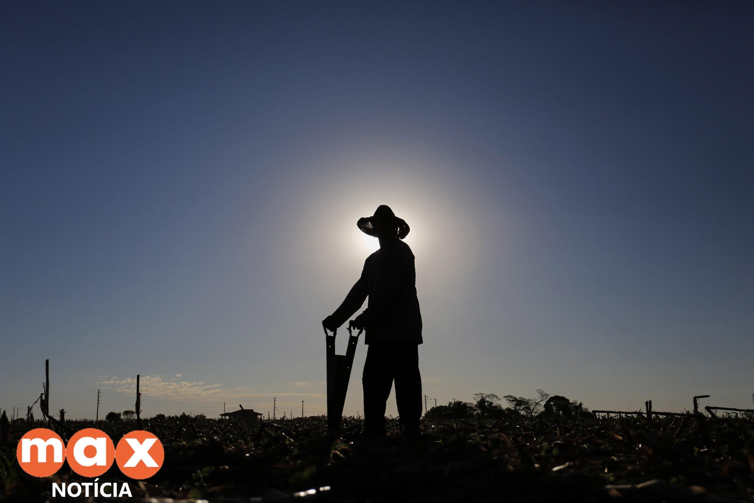 Aplicativo que facilita emissão de notas fiscais já alcançou 380 produtores rurais