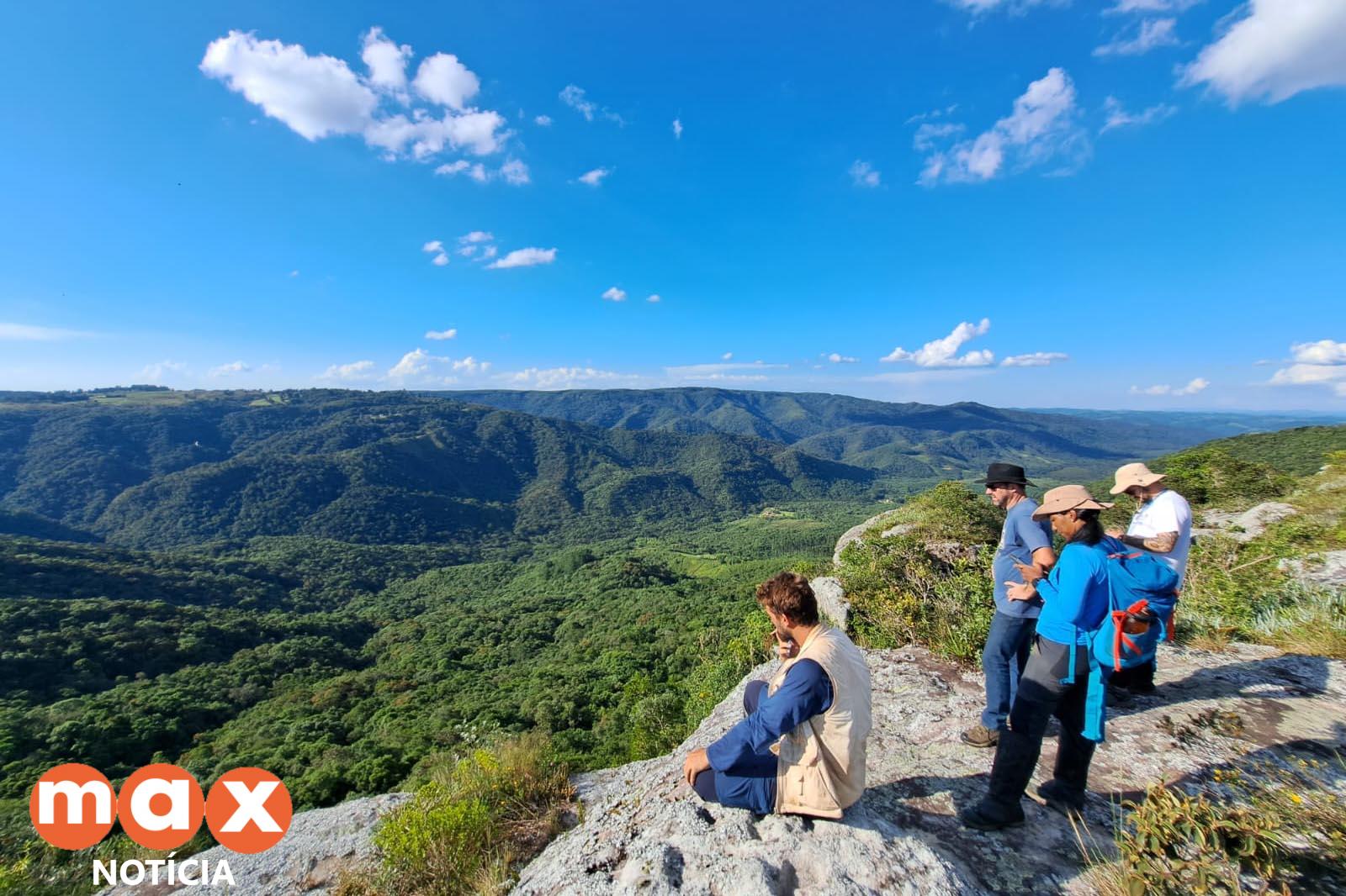Expedição encontra três plantas ameaçadas de extinção, uma delas pela primeira vez desde 1995
