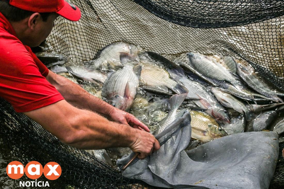 Credenciamento para produtores interessados em participar da Feira do Peixe segue até o dia 24 de março