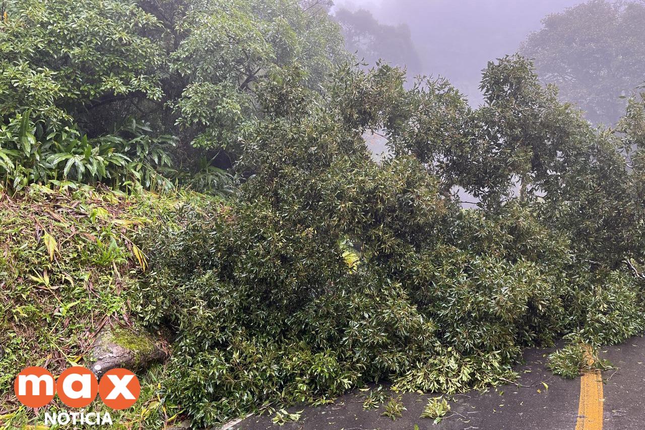 Estrada da Graciosa segue fechada devido a riscos de novos deslizamentos