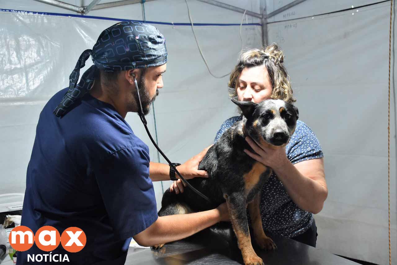 Quarto ciclo do Castrapet vai beneficiar 151 municípios do Paraná em 2024