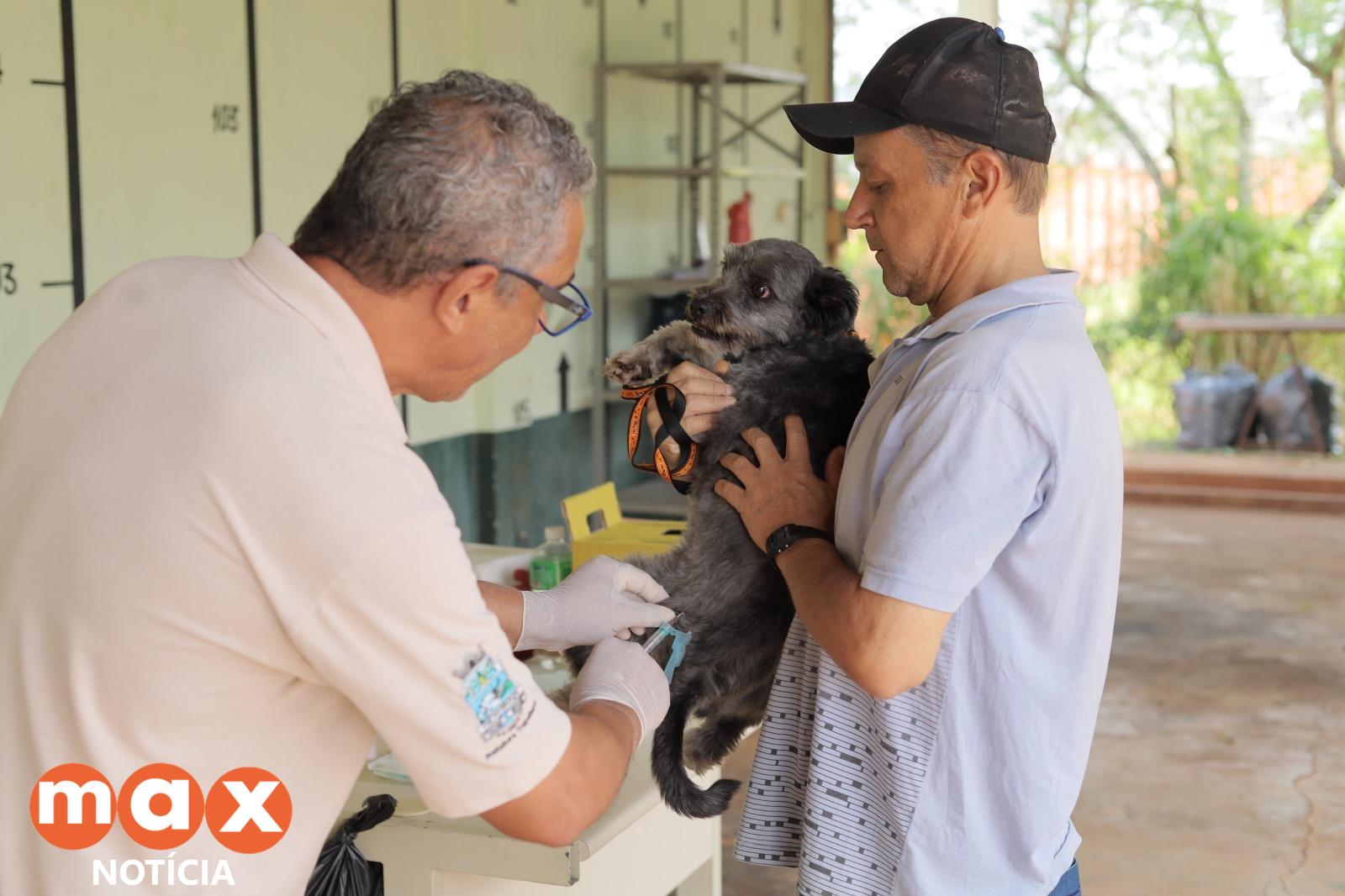 Vacinação contra a raiva: Com 18 mil doses aplicadas, CCZ encerra atendimento itinerante nos bairros