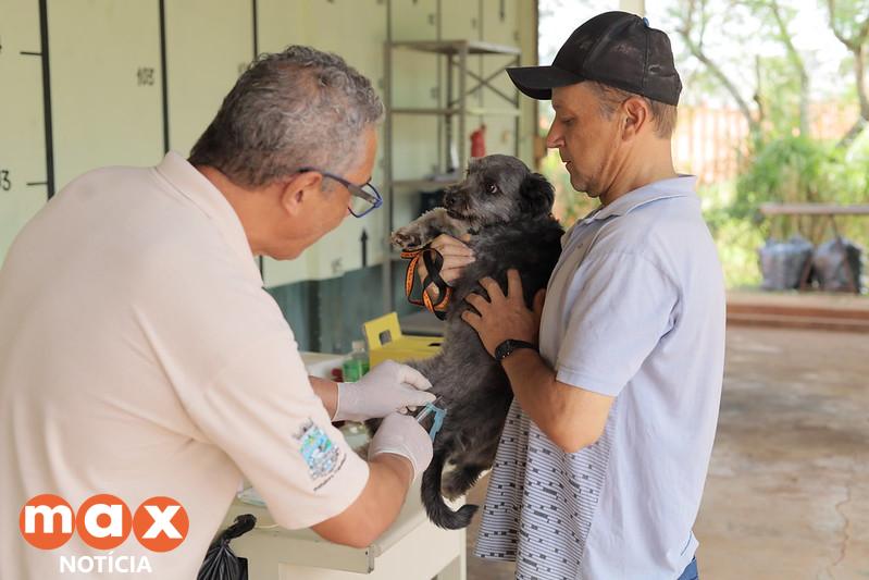 Vacinação contra a raiva em cães e gatos chegará ao Centro, Vila Yolanda e Vila Adriana