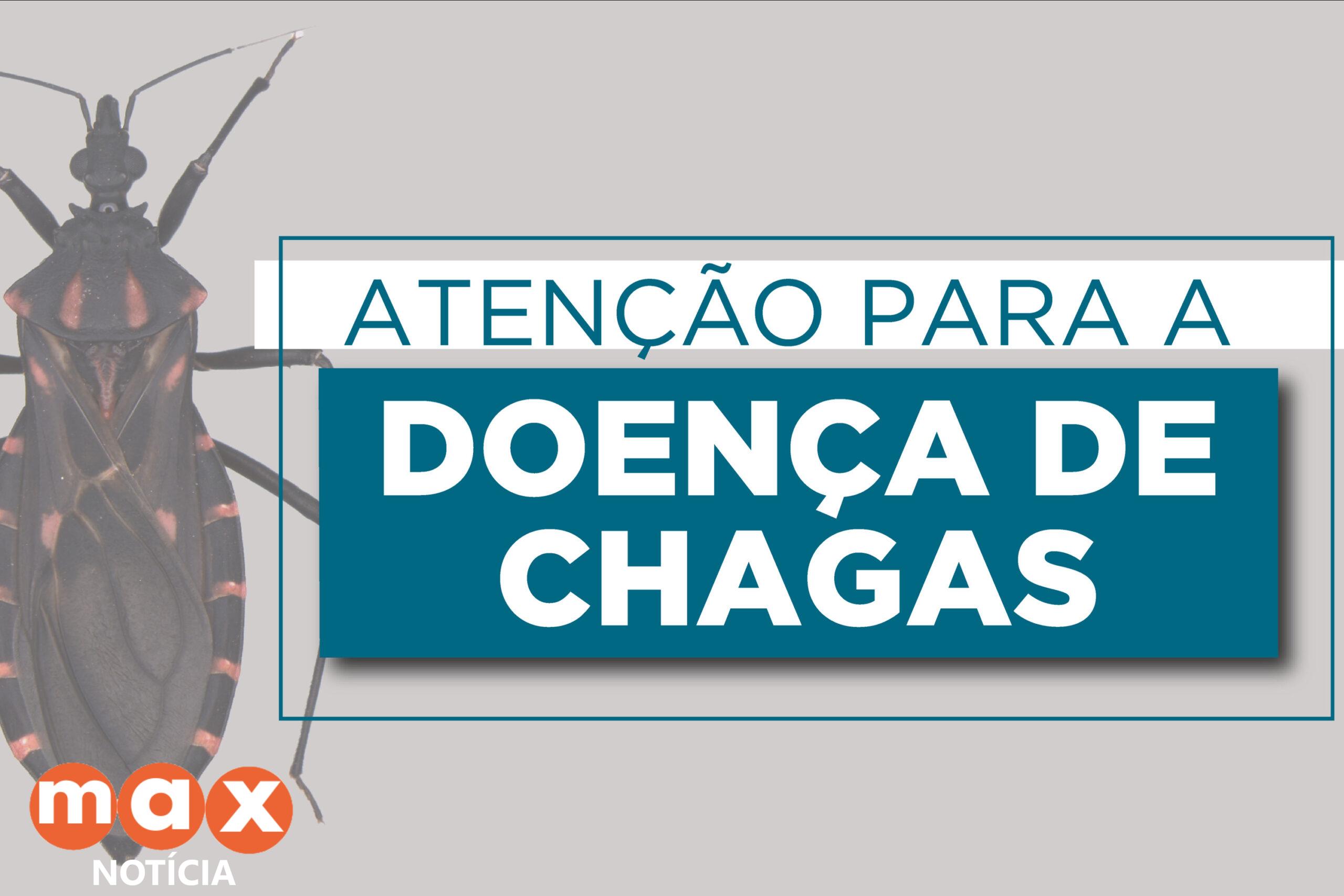Estado divulga cartilha sobre prevenção e tratamento da Doença de Chagas