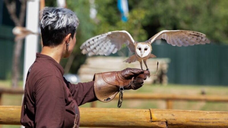 Férias de julho: Zoo Park Foz lança experiência inédita que aproxima visitantes de animais silvestres