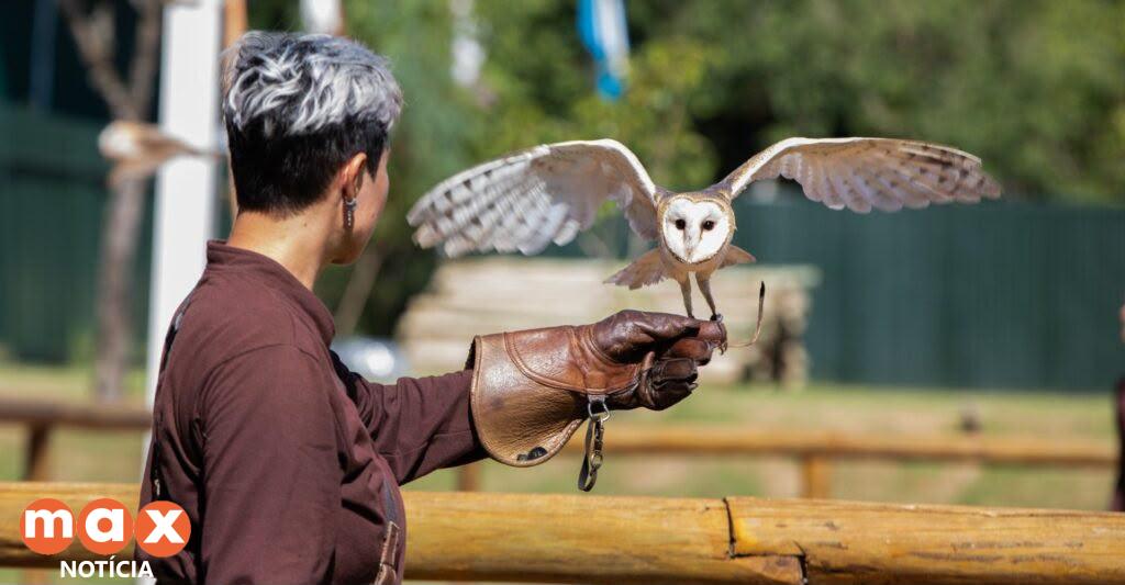 Férias de julho: Zoo Park Foz lança experiência inédita que aproxima visitantes de animais silvestres