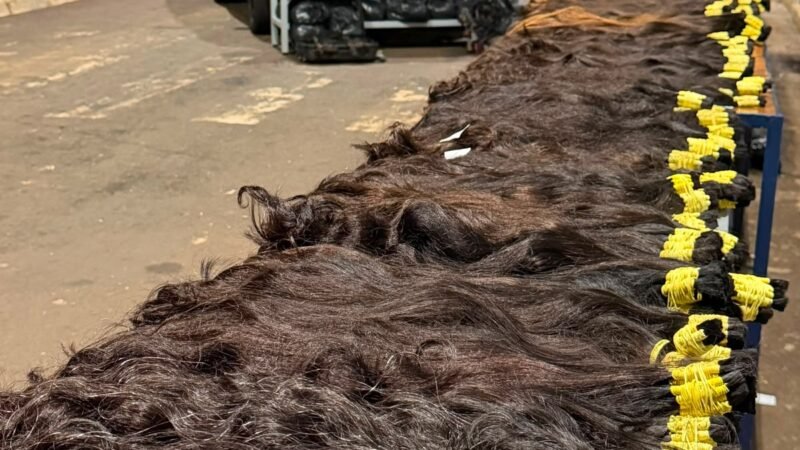 Carga com 148,2 kg de cabelo humano é apreendida pela Receita Federal