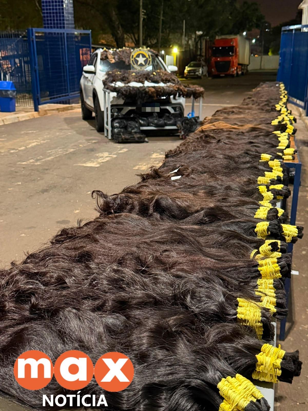 Carga com 148,2 kg de cabelo humano é apreendida pela Receita Federal