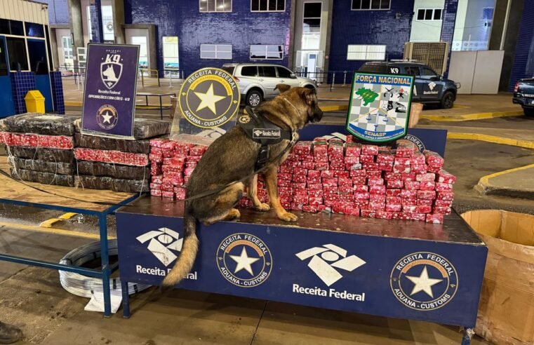 Agente Canino Pike localiza 248 kg de substância análoga à maconha em van paraguaia na Aduana da Ponte da Amizade