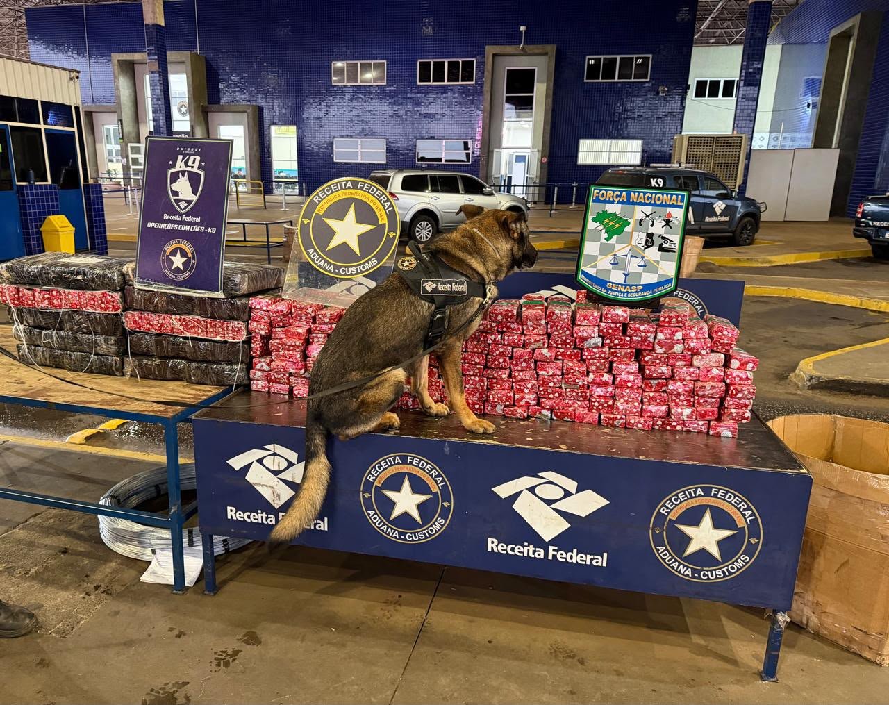 Agente Canino Pike localiza 248 kg de substância análoga à maconha em van paraguaia na Aduana da Ponte da Amizade