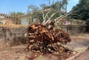 Cobertura de casa arrancada, queda de árvores e falta de energia: temporais deixam estragos em cidades do Paraná