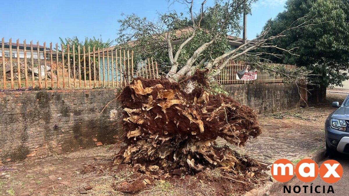 Cobertura de casa arrancada, queda de árvores e falta de energia: temporais deixam estragos em cidades do Paraná