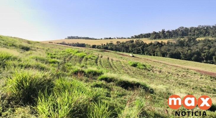 Depois da COP17, Brasil é cobrado a efetivar metas de restauração