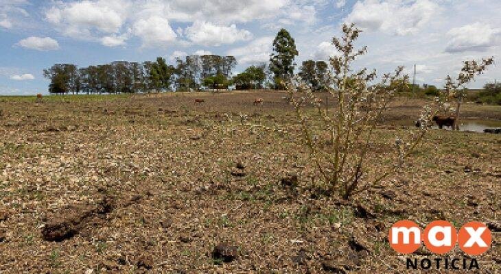 Justiça suspende cobrança de R$ 358 mil de produtor rural após prejuízos com estiagem