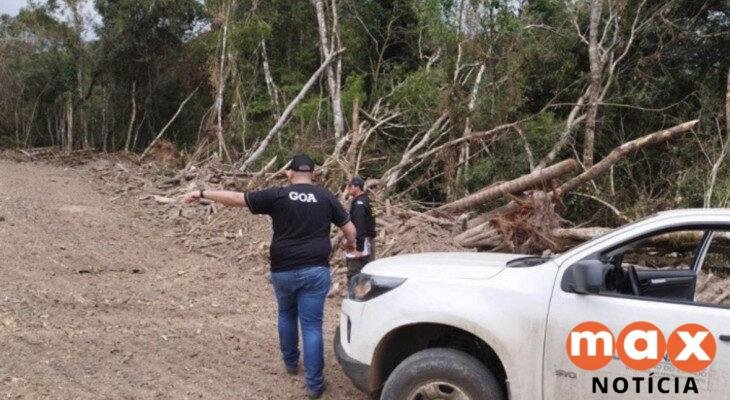 Operação contra desmatamento termina com 445 autuações e R$ 14,2 milhões em multas no Paraná
