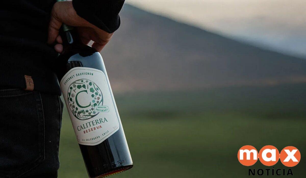5 vinhos de Cabernet Sauvignon de excelente custo-benefício
