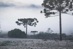 Brasil tem feriado de extremos: frio abaixo de zero no Sul e calor perto dos 40°C no Norte