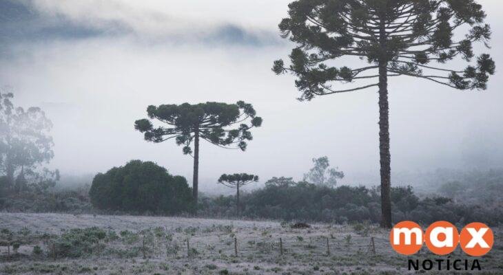 Brasil tem feriado de extremos: frio abaixo de zero no Sul e calor perto dos 40°C no Norte