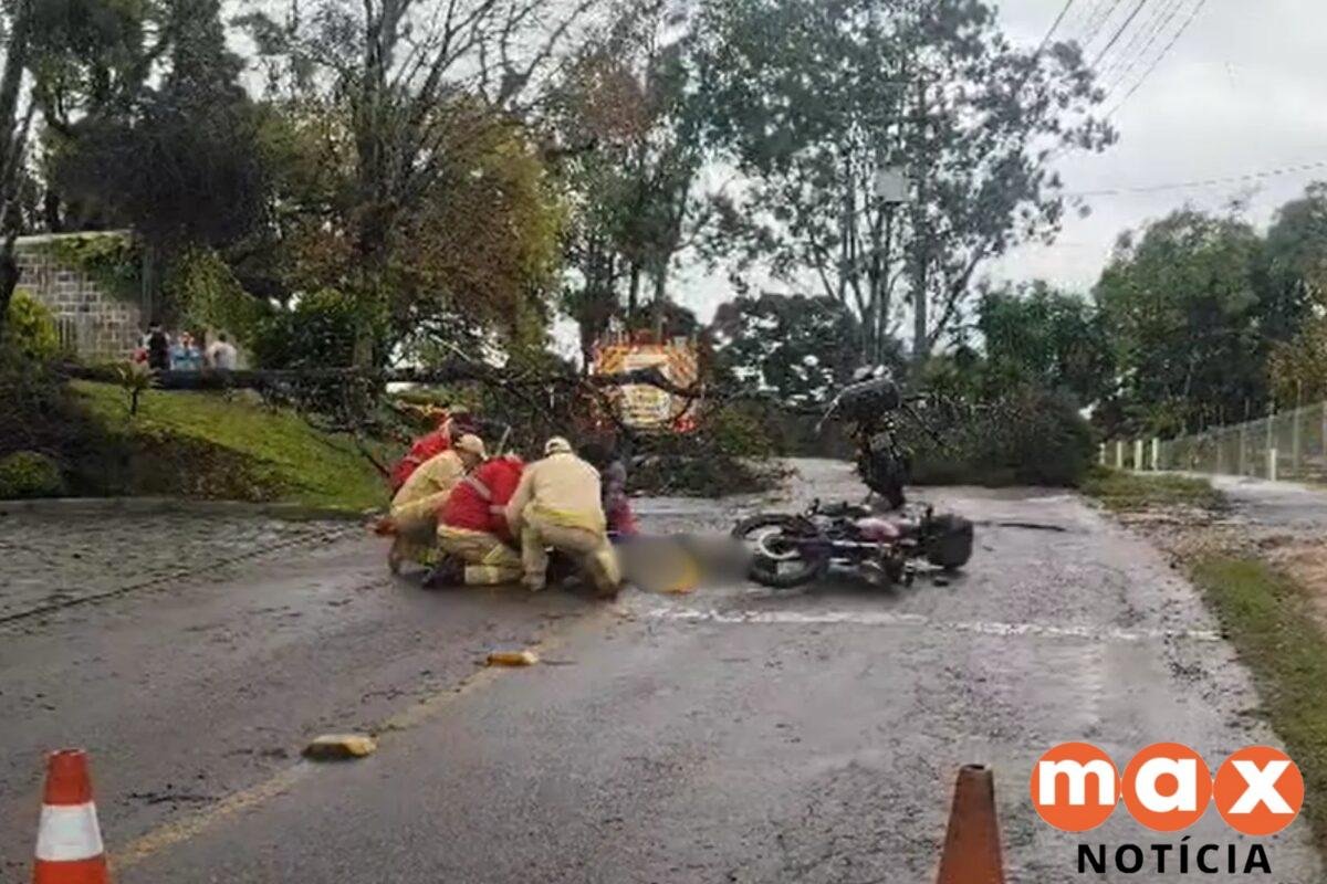 Motociclista fica gravemente ferido após passar por área isolada e ser atingido por árvore em Curitiba