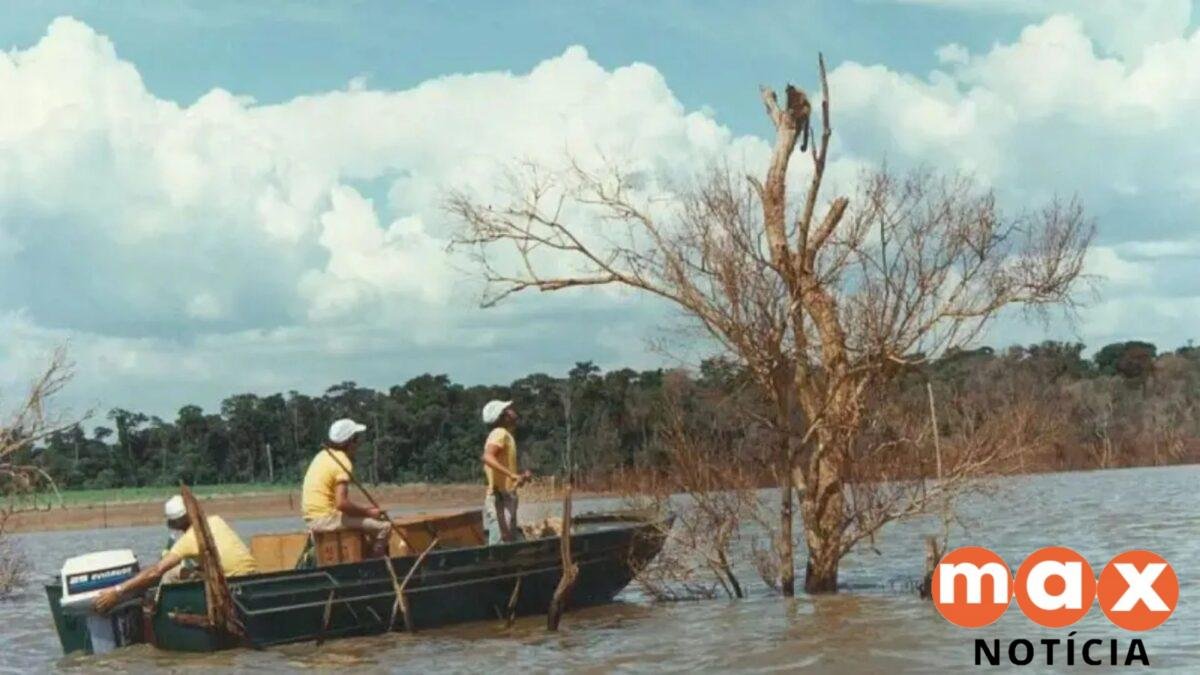 Mymba Kuéra: como foi o monumental resgate de mais de 30 mil animais durante a construção de Itaipu, entre o Brasil e o Paraguai