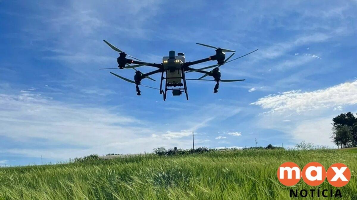 No céu das lavouras: drones transformam o agro do Oeste do Paraná
