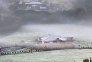 Paraná pode chegar a 1ºC e ter geadas ao longo da semana; veja previsão do tempo