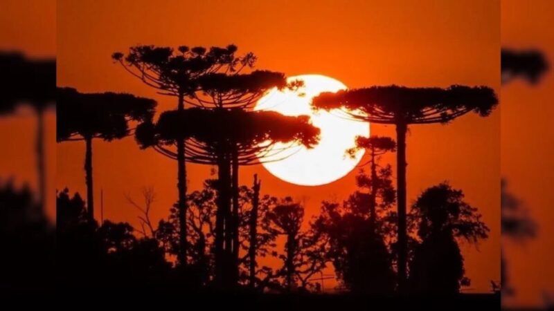 Calor e sol no Paraná antes de nova frente fria e temporais